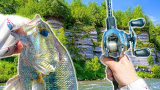 Fishing LOADED Spots On The River For BIG Bass (Multiple Giants)