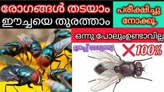 ഈച്ച കളെ തുരത്താം വളരെ വേഗത്തിൽ100%SUCCEss #House fly#killer#very#effective#tips#very#eas#trke