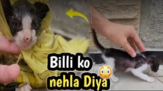 Catty ko Nahla Diya | Catty bimar na hogai 🤒😥