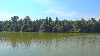 Барский пруд в Гребнево.