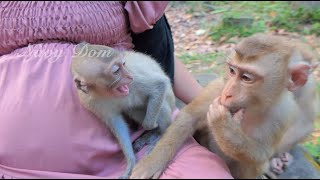 Shakira screams at Franka who is so close to her, she lip smacking to mom for help when Franka beat