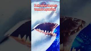 Dehradun largest tunnel aquarium #dehradun #aquarium #largest