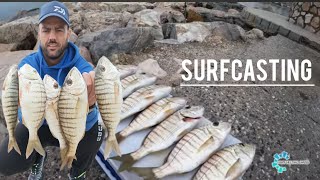 SURFCASTING TREMENDA JORNADA ACTIVIDAD MAXIMA NO PARAMOS CAIDA DE TEMPORAL DE PONIENTE