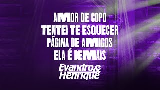 Evandro e Henrique - Amor De Copo/Tentei te esquecer/Página de Amigos/Ela é demais