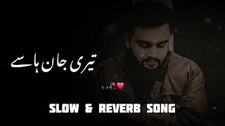 Teri Jan Hasay || Saraiki Slow & Reverb Song