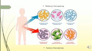 СЫНАККА / Биология / 6-КЛАСС / ТЕМА: Бактерия / №11 катышуучу Алиева Айжамал