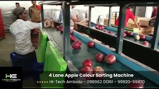 4 Lane Apple Color Sorting Machine In Rohru - 99920-99970 Hi-Tech