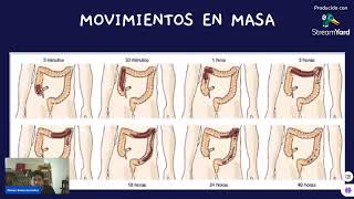 Cápsula 6 motilidad- Fisiología Gastrointestinal