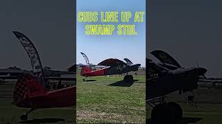 Cubs Line Up At Swamp STOL #stol #bushpilot #bushplane #nationalstol #aviation #shorts