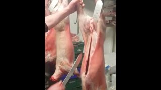 Splitting a Lamb