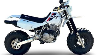 HONDA XR650L Fat Tire Dirt Bike Build Finished