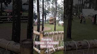 Tanaria di Trawas, Pandaan - Jatim