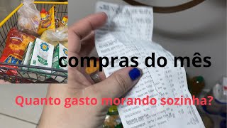 Compras do mês no mercado quanto eu gastei ?!