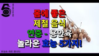 몸에 좋은 제철 음식 연중 - 용안육 놀라운 효능 5가지!