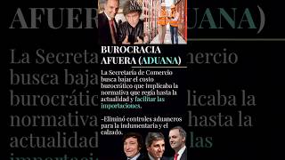 BUROCRACIA AFUERA #aduana #argentina #Milei #manueladorni