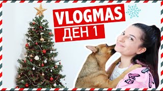 ПУХКАВИ ЦЕЛУВКИ И УКРАСЯВАНЕ НА ЕЛХАТА ❅ VLOGMAS ДЕН 1