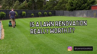 Should you renovate your lawn? And when?