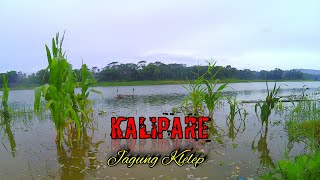 PIYE TO KIH!!! Kalipare waduk karangkates