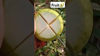 Fruit Gardening 🥑🍑🍎🥝 #organic #fruitfarming #guava #seasonal #fruitcutting #natural@Food-home14G