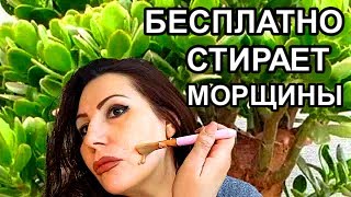 Бесплатно Стирает даже Глубокие Морщины с лица!