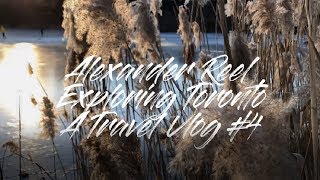 Vlog4 | High Park FREE And Easy Public Transit Access