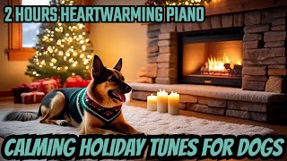 Magical Christmas melodies to relax and bond with your Dogs and Cats | Super Pet Hub