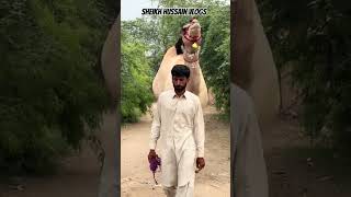 biggest camel walk🐪 #foryou #viral #youtubeshorts