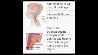 land marks of cervical vertebrae|anatomy shelf notes|fcps part-1 1 preparation forum