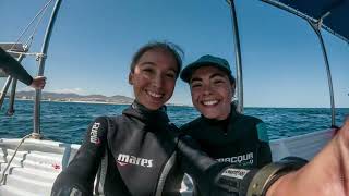 Best of Scuba Diving Cabo  2022