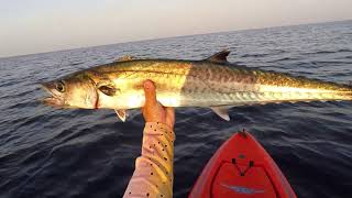 Kayak fishing offshore before my honeymoon - ActionHat POV