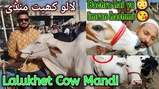 😘 Pappi karny wala bachra |Lalukhet cow Mandi ki Demand bohot munasib | Karachi Maweshi Mandi rates