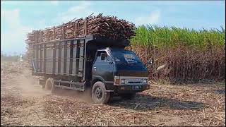 Truk Tebu Lintas Galengan