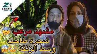 عاجل...شجرة 🌲 تهز عين الشق 😱