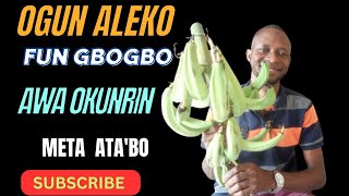 OGUN ALEKO TODAJU PELU OGEDE AGBAGBA