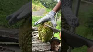 Ngóng đến buồn ngủ luôn 🤣🤣🤣 #fruit #durian #saurieng #durianfruit #tropicalfruit #durianlover