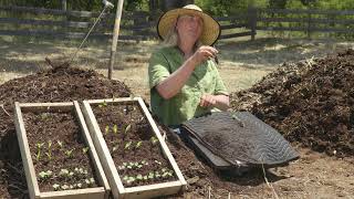 How to Test Your Compost Pile for Quality