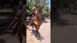 Charming girl dancing horse🔥|دختر جذاب اسب رقاص🔥#animals #cavalo #horse #caballo #girl #دختر #اسب