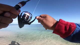 s18ep13-Fishing in Mauritius near reef(brizan) during extreme low tide(Wolmar)