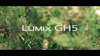 My first day with GH5=AMAZING! (Handheld, FHD, 120fps)