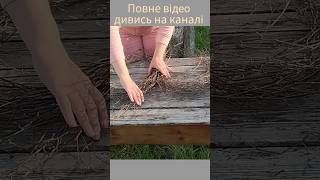 Каркас серце#diy#shortsvideo#букет#своїмируками#idea