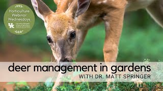 Deer Management in Gardens