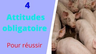 comment réussir élevage des porcs