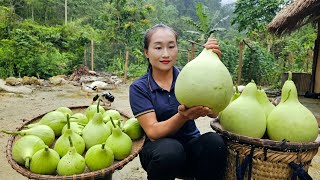 Harvesting Gourds Goes to the market sell - Cooking | Ly Thi Tam