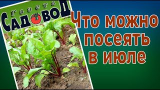 Что можно посеять в июле