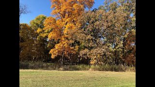 Edible Trees. Yes I said Edible Trees. Prep U’s Prepping Tip of the Week.