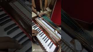 letest harmonium || PAli tana Reed