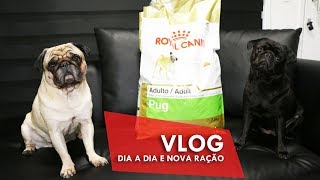 Troquei a ração? + Dia a dia | VLOG