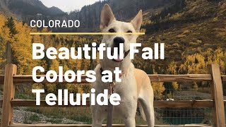 BEAUTIFUL FALL COLORS AT TELLURIDE, COLORADO