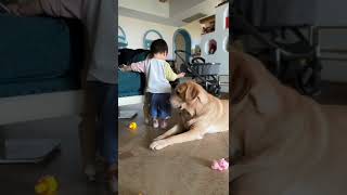 baby Vs dog 🐕💕