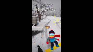 #shorts MERRY CHRISTMAS with chihuahuas